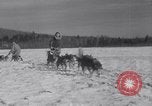 Image of Malamute Alaskan sledge dogs Wonalancet New Hampshire USA, 1934, second 48 stock footage video 65675028712