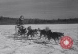Image of Malamute Alaskan sledge dogs Wonalancet New Hampshire USA, 1934, second 49 stock footage video 65675028712
