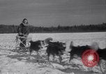 Image of Malamute Alaskan sledge dogs Wonalancet New Hampshire USA, 1934, second 50 stock footage video 65675028712