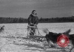 Image of Malamute Alaskan sledge dogs Wonalancet New Hampshire USA, 1934, second 51 stock footage video 65675028712