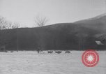 Image of Malamute Alaskan sledge dogs Wonalancet New Hampshire USA, 1934, second 61 stock footage video 65675028712