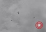 Standbild Heer und Marine Beamten fliegen Segelflugzeuge Elmira New York USA, 1941, aus Sekunde 40 historischem Filmmaterial Videoclip 65675028732