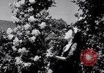 Standbild Rose Festival feiern Newark New Jersey USA, 1941, aus Sekunde 49 historischem Filmmaterial Videoclip 65675028737