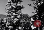 Standbild Rose Festival feiern Newark New Jersey USA, 1941, aus Sekunde 51 historischem Filmmaterial Videoclip 65675028737
