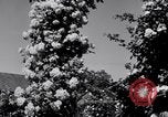 Standbild Rose Festival feiern Newark New Jersey USA, 1941, aus Sekunde 52 historischem Filmmaterial Videoclip 65675028737