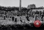 Standbild Rose Festival feiern Newark New Jersey USA, 1941, aus Sekunde 55 historischem Filmmaterial Videoclip 65675028737