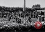 Standbild Rose Festival feiern Newark New Jersey USA, 1941, aus Sekunde 56 historischem Filmmaterial Videoclip 65675028737
