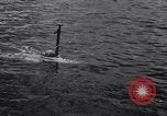 Standbild Barney Connelt in winzigen U-Boot Jacksonville Florida USA, 1941, aus Sekunde 24 historischem Filmmaterial Videoclip 65675028740