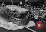 Image of Aquatennial boat parade Minneapolis Minnesota USA, 1941, second 44 stock footage video 65675028742