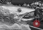 Image of Aquatennial boat parade Minneapolis Minnesota USA, 1941, second 47 stock footage video 65675028742