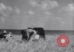 Standbild Britische Truppen Kämpfe in Syrien Damaskus Syrien, 1941, aus Sekunde 6 historischem Filmmaterial Videoclip 65675028745
