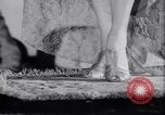 Image of models at Night fashion show Miami Florida USA, 1938, second 17 stock footage video 65675028767