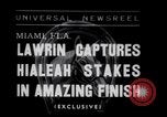 Image of American thoroughbred horse Lawrin at Flamingo Stakes Hialeah Florida USA, 1938, second 1 stock footage video 65675028770