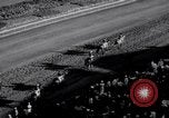Image of American thoroughbred horse Lawrin at Flamingo Stakes Hialeah Florida USA, 1938, second 11 stock footage video 65675028770