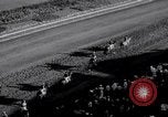 Image of American thoroughbred horse Lawrin at Flamingo Stakes Hialeah Florida USA, 1938, second 12 stock footage video 65675028770