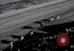 Image of American thoroughbred horse Lawrin at Flamingo Stakes Hialeah Florida USA, 1938, second 13 stock footage video 65675028770