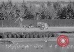 Image of American thoroughbred horse Lawrin at Flamingo Stakes Hialeah Florida USA, 1938, second 17 stock footage video 65675028770