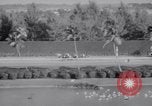 Image of American thoroughbred horse Lawrin at Flamingo Stakes Hialeah Florida USA, 1938, second 19 stock footage video 65675028770