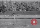 Image of American thoroughbred horse Lawrin at Flamingo Stakes Hialeah Florida USA, 1938, second 25 stock footage video 65675028770