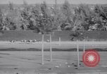 Image of American thoroughbred horse Lawrin at Flamingo Stakes Hialeah Florida USA, 1938, second 26 stock footage video 65675028770