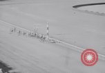 Image of American thoroughbred horse Lawrin at Flamingo Stakes Hialeah Florida USA, 1938, second 43 stock footage video 65675028770