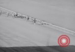 Image of American thoroughbred horse Lawrin at Flamingo Stakes Hialeah Florida USA, 1938, second 46 stock footage video 65675028770
