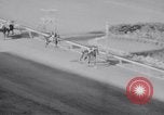 Image of American thoroughbred horse Lawrin at Flamingo Stakes Hialeah Florida USA, 1938, second 49 stock footage video 65675028770
