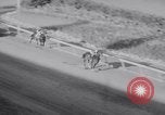 Image of American thoroughbred horse Lawrin at Flamingo Stakes Hialeah Florida USA, 1938, second 50 stock footage video 65675028770