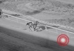 Image of American thoroughbred horse Lawrin at Flamingo Stakes Hialeah Florida USA, 1938, second 51 stock footage video 65675028770