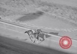 Image of American thoroughbred horse Lawrin at Flamingo Stakes Hialeah Florida USA, 1938, second 52 stock footage video 65675028770