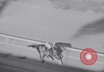 Image of American thoroughbred horse Lawrin at Flamingo Stakes Hialeah Florida USA, 1938, second 53 stock footage video 65675028770