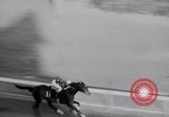 Image of American thoroughbred horse Lawrin at Flamingo Stakes Hialeah Florida USA, 1938, second 54 stock footage video 65675028770