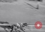 Image of American thoroughbred horse Lawrin at Flamingo Stakes Hialeah Florida USA, 1938, second 55 stock footage video 65675028770