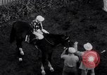 Image of American thoroughbred horse Lawrin at Flamingo Stakes Hialeah Florida USA, 1938, second 62 stock footage video 65675028770