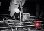 Image Bessie Pastor et son mari Michael Berliney créer glace synthétique Toledo Ohio USA, 1938, de la seconde 10 séquences d'archives historiques vidéo 65675028777
