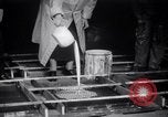 Image Bessie Pastor et son mari Michael Berliney créer glace synthétique Toledo Ohio USA, 1938, de la seconde 11 séquences d'archives historiques vidéo 65675028777