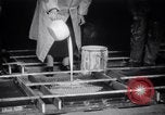Image Bessie Pastor et son mari Michael Berliney créer glace synthétique Toledo Ohio USA, 1938, de la seconde 12 séquences d'archives historiques vidéo 65675028777