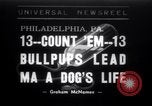 Immagine di Bulldog denominata bellezza luminosa con le sue tredici cuccioli Philadelphia Pennsylvania USA, 1938, secondo 1 filmato di repertorio 65675028779