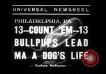 Immagine di Bulldog denominata bellezza luminosa con le sue tredici cuccioli Philadelphia Pennsylvania USA, 1938, secondo 3 filmato di repertorio 65675028779