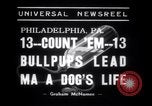 Immagine di Bulldog denominata bellezza luminosa con le sue tredici cuccioli Philadelphia Pennsylvania USA, 1938, secondo 6 filmato di repertorio 65675028779