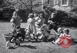 Immagine di Bulldog denominata bellezza luminosa con le sue tredici cuccioli Philadelphia Pennsylvania USA, 1938, secondo 16 filmato di repertorio 65675028779