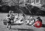Immagine di Bulldog denominata bellezza luminosa con le sue tredici cuccioli Philadelphia Pennsylvania USA, 1938, secondo 20 filmato di repertorio 65675028779