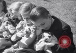 Immagine di Bulldog denominata bellezza luminosa con le sue tredici cuccioli Philadelphia Pennsylvania USA, 1938, secondo 22 filmato di repertorio 65675028779