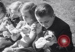 Immagine di Bulldog denominata bellezza luminosa con le sue tredici cuccioli Philadelphia Pennsylvania USA, 1938, secondo 23 filmato di repertorio 65675028779