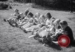 Immagine di Bulldog denominata bellezza luminosa con le sue tredici cuccioli Philadelphia Pennsylvania USA, 1938, secondo 27 filmato di repertorio 65675028779