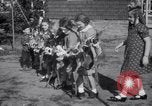 Immagine di Bulldog denominata bellezza luminosa con le sue tredici cuccioli Philadelphia Pennsylvania USA, 1938, secondo 40 filmato di repertorio 65675028779