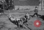 Immagine di Bulldog denominata bellezza luminosa con le sue tredici cuccioli Philadelphia Pennsylvania USA, 1938, secondo 44 filmato di repertorio 65675028779