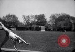 Image of University of Illinois Gymnasts Team perform gymnastics Champaign Illinois USA, 1938, second 36 stock footage video 65675028781