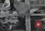 Image of North Korean Students visit Russia North Korea, 1948, second 48 stock footage video 65675028795