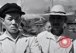 Immagine di Il procedimento di unificazione democratica riunione Mo Ran Pong Pyongyang Corea del Nord, 1949, secondo 50 filmato di repertorio 65675028804